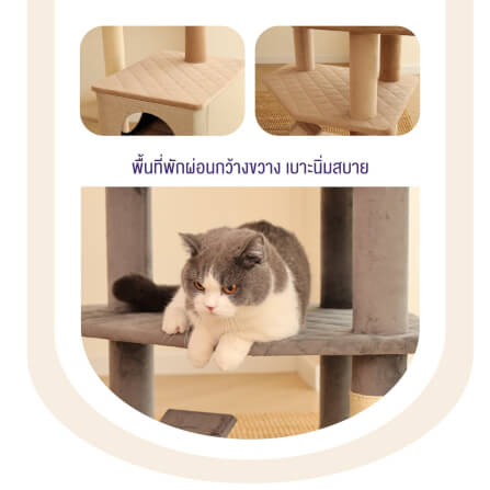 คอนโดแมว Catry รุ่น Cat Tree Yara สีเบจ_5